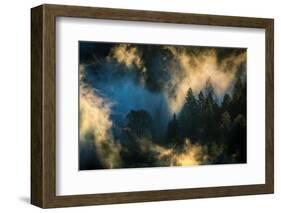 Dance of Fog and Light, Northern California-Vincent James-Framed Photographic Print