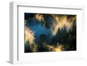 Dance of Fog and Light, Northern California-Vincent James-Framed Photographic Print