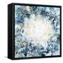 Dance Of Light-Kari Taylor-Framed Stretched Canvas