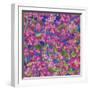 Dance Of Love- Pink Flowers Repeat-Carissa Luminess-Framed Giclee Print