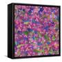 Dance Of Love- Pink Flowers Repeat-Carissa Luminess-Framed Stretched Canvas