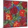 Dance Of Love- Roses & Zinnias-Carissa Luminess-Mounted Giclee Print