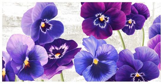 'Dance of Pansies' Posters - Jenny Thomlinson | AllPosters.com