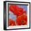 Dance of Poppies I-Luca Villa-Framed Art Print