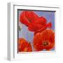 Dance of Poppies I-Luca Villa-Framed Art Print