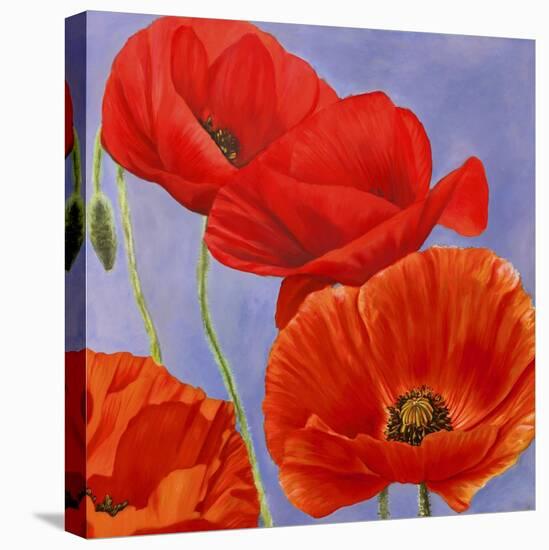 Dance of Poppies I-Luca Villa-Stretched Canvas