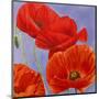 Dance of Poppies I-Luca Villa-Mounted Art Print