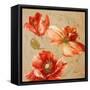 Dance of Poppies I-Patricia Pinto-Framed Stretched Canvas