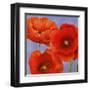 Dance of Poppies II-Luca Villa-Framed Art Print