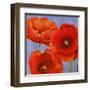 Dance of Poppies II-Luca Villa-Framed Art Print