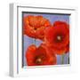 Dance of Poppies II-Luca Villa-Framed Art Print