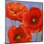 Dance of Poppies II-Luca Villa-Mounted Art Print