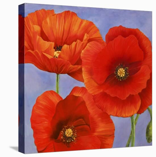 Dance of Poppies II-Luca Villa-Stretched Canvas