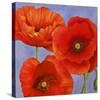 Dance of Poppies II-Luca Villa-Stretched Canvas