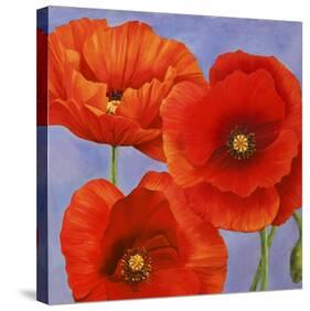 Dance of Poppies II-Luca Villa-Stretched Canvas