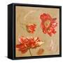 Dance of Poppies II-Patricia Pinto-Framed Stretched Canvas