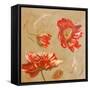 Dance of Poppies II-Patricia Pinto-Framed Stretched Canvas