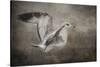 Dance of the Lone Gull-Jai Johnson-Stretched Canvas