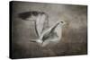 Dance of the Lone Gull-Jai Johnson-Stretched Canvas