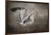 Dance of the Lone Gull-Jai Johnson-Framed Giclee Print