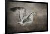 Dance of the Lone Gull-Jai Johnson-Framed Giclee Print