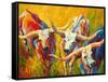 Dance Of The Longhorns-Marion Rose-Framed Stretched Canvas