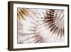 Dance of the Rays I-Eva Watts-Framed Art Print