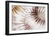 Dance of the Rays I-Eva Watts-Framed Art Print