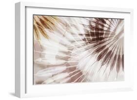 Dance of the Rays I-Eva Watts-Framed Art Print