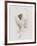 Dance Study I-Ethan Harper-Framed Art Print