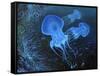 Dance Under Water-kirilstanchev-Framed Stretched Canvas