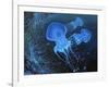 Dance Under Water-kirilstanchev-Framed Art Print