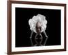 Dance-Natalia Baras-Framed Giclee Print