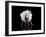 Dance-Natalia Baras-Framed Premium Photographic Print