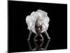 Dance-Natalia Baras-Mounted Premium Photographic Print