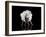 Dance-Natalia Baras-Framed Photographic Print