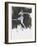 Dance-Mark Adlington-Framed Giclee Print