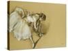 Dancer Adjusting Her Shoe, circa 1890-Edgar Degas-Stretched Canvas