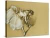 Dancer Adjusting Her Shoe, circa 1890-Edgar Degas-Stretched Canvas