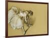 Dancer Adjusting Her Shoe, circa 1890-Edgar Degas-Framed Giclee Print