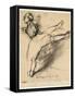 Dancer at the Bar-Edgar Degas-Framed Stretched Canvas