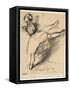 Dancer at the Bar-Edgar Degas-Framed Stretched Canvas