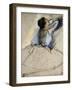 Dancer, C. 1874-Edgar Degas-Framed Premium Giclee Print