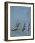 Dancer from back and three foot studies (detail)-Edgar Degas-Framed Giclee Print