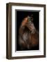 Dancer in the Dark-null-Framed Art Print