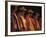 Dancer Performing at La Guelaguetza, Oaxaca, Mexico-Judith Haden-Framed Photographic Print