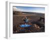 Dancer Pose During an Evening Outdoor Yoga Session at the Frenchman-Coulee in Central Washington.-Ben Herndon-Framed Photographic Print