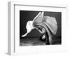 Dancer's Cartwheel, 1940-Science Source-Framed Giclee Print