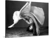 Dancer's Cartwheel, 1940-Science Source-Stretched Canvas