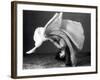 Dancer's Cartwheel, 1940-Science Source-Framed Giclee Print